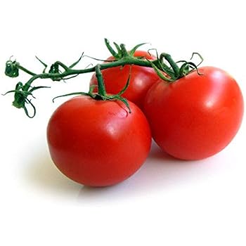 Legend Tomato Reddit CAMPARI TOMATO, Sweet Vine Tomatoes Exotic