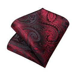 DiBanGu Silk Paisley Ties for Men Woven Necktie and