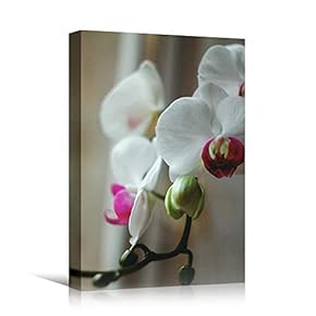 signwin Canvas Wall Art White Petal Close Up...