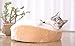 ShellKingdom Cat Bed,Creative Pet Bed for Kitty Cat and Small Dog（Beige，Hamburget）