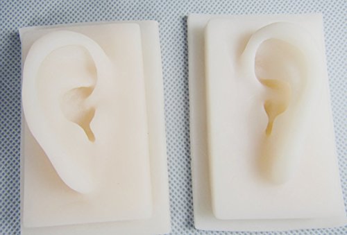 2Pcs Silicone Simulation Model Human Ears Acupuncture Practice Model of The Ear