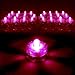 Sokaton Submersible Tea Light Battery Operated Waterproof LED Tealights Underwater Vase Light for Christmas Xmas Holloween Party Wedding Decoration (Pink-12)