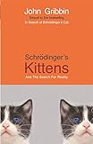 Schrodinger's Kittens: and the Search for Reality cover