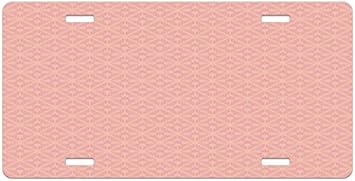 Amazon Com Ambesonne Peach License Plate Abstract Background