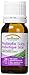 Jamieson Probiotic Baby 8ml