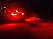 ENDPAGE 3157 3156 3057 3056 LED Bulb 2-pack, Brilliant Red, Extremely Bright, 21-SMD with Projector Lens, 12-24V, Works as Brake Lights, Tail Lights, Turn Signal Blinkers
