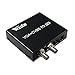 Wiistar VGA+CVBS to SDI Converter support 2 SDI outputs