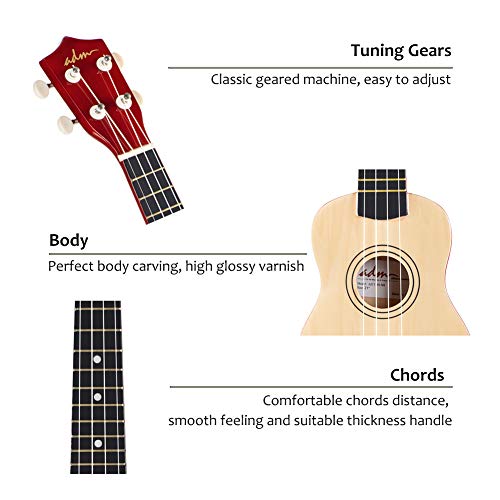1 ADM+Beginner+Ukulele+Teaching+Fingerboard