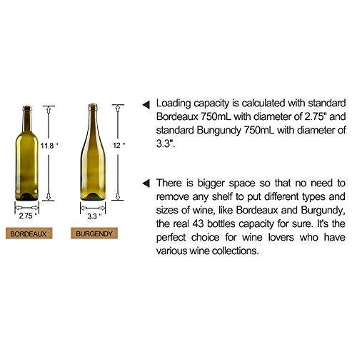 5 Sipmore+Refrigerator+Freestanding+Double+Layer+Temperature
