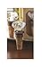 Mud Pie Door Knob Bottle Fluted Accessories, Brown