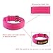 Yunleparks Tactical Dog Collar Reflective Nylon Dog Collar Heavy Duty Dog Collar with Metal Pin Buckle for Medium Large Dogs(Large,Pink)