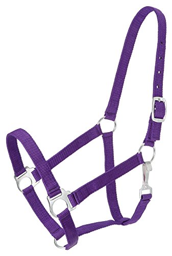 Tough 1 Economy Halter, Purple, Horse