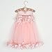 1-6T Kids Girls Mesh Tulle Skirt Dress for Birthday Flower Girl Special Occasion Light Pink