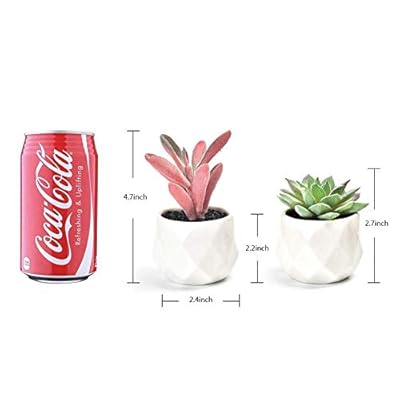 Artificial Succulent Plants Decor,4 Pieces of Various Fake Succulents in Mini White Ceramic Pots for Desk, Office… 41UOJ9KvQAL