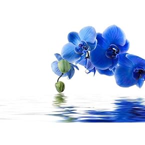 Blue Orchid Flowers Over a Lake - Wall Mural, Removable Sticker, Home Decor - 66x96 inches