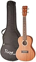 Protege by Cordoba U100CM Concert Ukulele (Amazon Exclusive)
