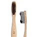 Bamboo Toothbrush Biodegradable Natural Bamboo Handle with BPA Free Bristles, Pack of 10