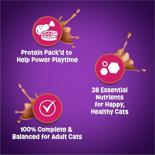 PURINA FRISKIES DRY CAT FOOD GRAVY SWIRL’D WITH FLAVORS OF CHICKEN, SALMON AND GRAVY – 3.15 LB. BAG