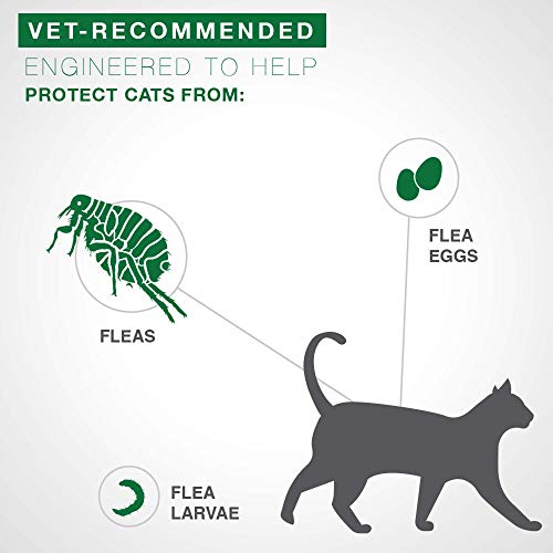 6 Advantage+Flea+Control+Large+Cats