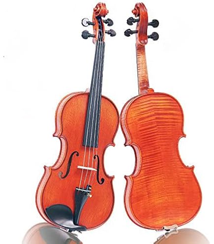 Amazon.com: D Z Strad 4/4 Full Size Violin Model 250 with Case, 2