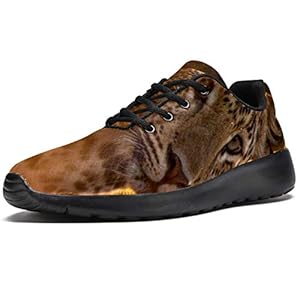 41UOwQ%2B%2BthL. SS300