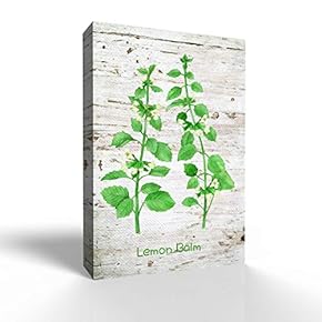 Canvas Wall Art - Natural Design - Modern Home Art Stretched and Framed Ready to Hang - 12x18 inches