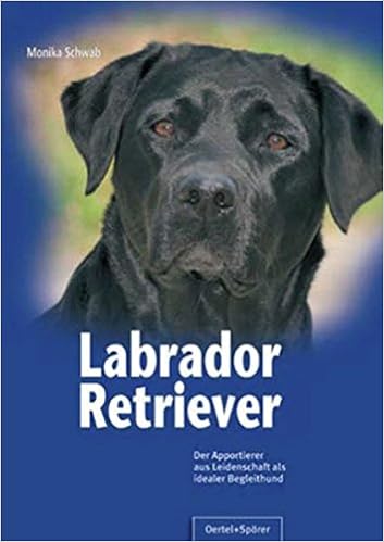 Labrador Retriever Der Apportierer Aus Leidenschaft Als - 
