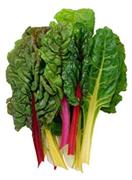 Fash Lady 2320mg Open-pollinated Bright Lights Rainbow Chard Seeds~rare Colored Blend! 60+