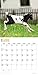 Baby Goats 2018 16 Month Wall Calendar 12 x 12 inches Bright Day Calendars Publishing