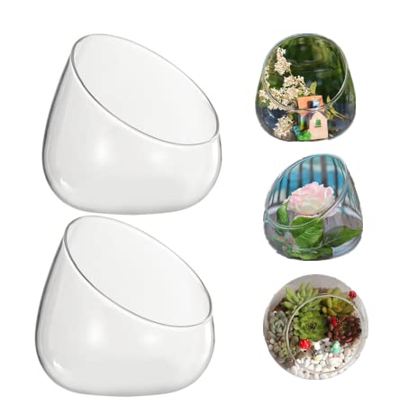 2pcs Glass Terrarium Container Bowl Vase Miniature Micro Landscape Desktop Glass Planter for Decoration
