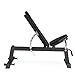 CAP Barbell Black Deluxe Utility Bench