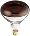 Satco Products S4998 250BR40/HR Medium Base Red Heat Lamp