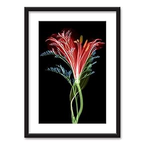 Framed Wall Art Flowers Giclee Printed Art in Black Picture Frames White Matting - 23x31 inches