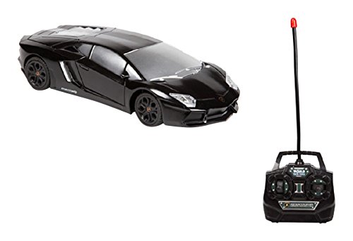 World Tech Toys Lamborghini Aventador RC Vehicle (1:24 Scale)