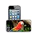 Luxlady Premium Samsung Galaxy S5 Aluminium Snap Case Beautiful Scarlet Macaw aviary IMAGE 21199575