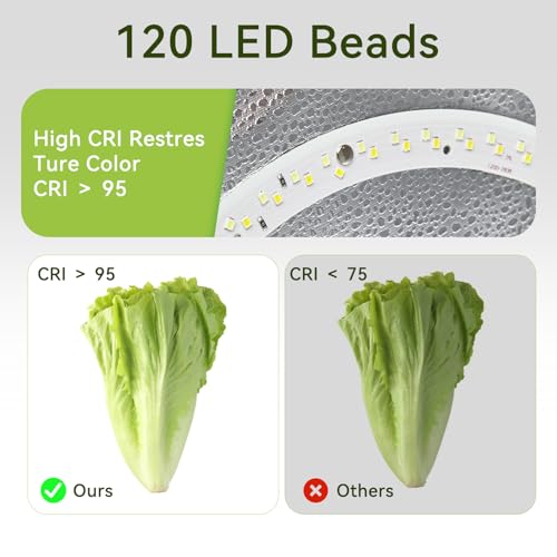 Photo Light Box Photography - 40x40cm (16"x16") Photo Studio Lightbox with 120 LED Lights & 6 Backdrops for Jewelry and Small Items Product Photography