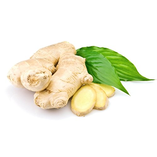 Ginger Tea 100% Pure Root (30 Premium Bags) All-Natural Caffeine Free Herbal Tea - Thumbnail 2