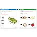 Educational Insights Hot Dots Standards-Based Review Cards—Grade 1 Language Arts