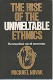 Beyond The Melting Pot Second Edition The Negroes