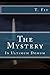 The Mystery: In Ultimum Domum by Mr. T. Fit