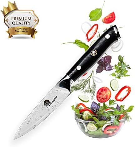 Dellinger Damascus Paring Knife - Fruit Knife 3,5 Inch (90 mm) Japanese 67 Layers VG-10 Damascus Steel with Gift Box