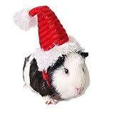 BBEART Hamsters Christmas Hat,Dog Santa Hat Cat Puppy Hat Holiday Costume Christmas Pet Accessory (S, Hamsters Hat)