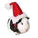 Mummumi® Pet Holiday and Christmas Hat, Pet Santa Hat Costume Christmas Collection Pet Accessory for Cat Rabbit Hamster Guinea Pig, Small, Red (A)