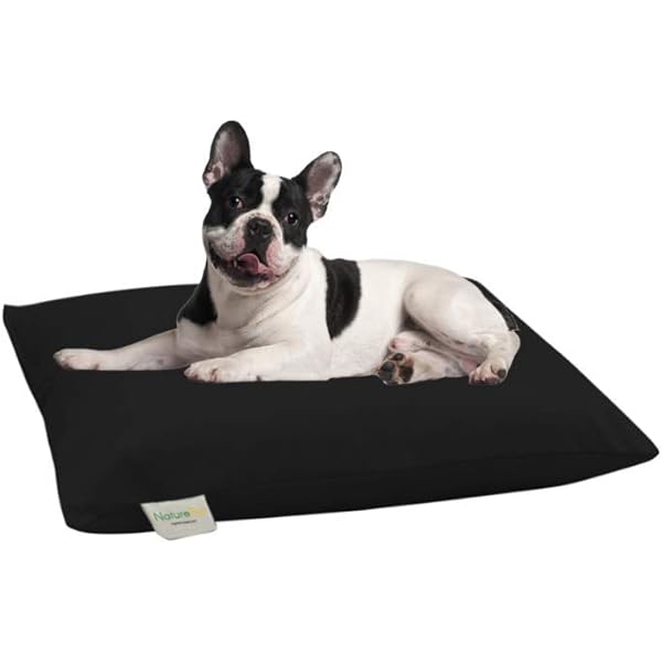 organic dog supplies