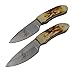 The Bone Collector Survival Skinner Full Tang Fixed Blade Hunting Knife BC-808 Real Bone Handle Skinning Knives Gift Set Pack of 2
