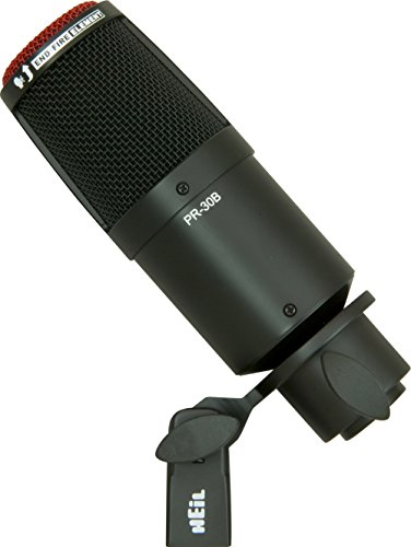 Heil Sound PR 30B Large-Diaphragm Dynamic Microphone
