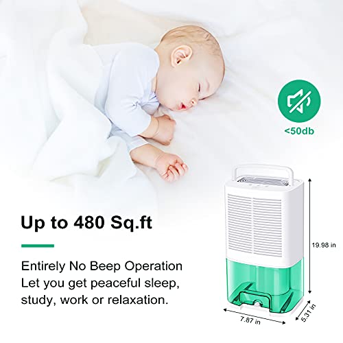 MADETEC Upgraded Dehumidifiers for Home (480 Sq.ft), Small Portable Dehumidifier with Drain Hose and 64oz Water Tank , Ideal for Basements Bedroom Bathroom Closet Kitchen RV