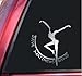 Dave Matthews Band Vinyl Decal Sticker - Shiny Chrome