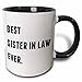 3dRose mug_213350_4 Best Sister In Law Ever, Black Letters On A White Background - Two Tone Black Mug, 11oz