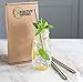 Healthy Human Set of 3 BPA Free Reusable Metal Drinking Stainless Steel Straws -Ideal for 20oz Tumblers